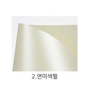 티라미수 A4펄지, 60매, 연미색펄