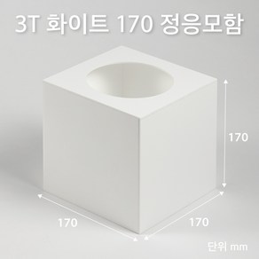 조이사인 정사각 응모함 170x170 / 두께3mm 투표함 모금함 아크릴 상자 매장/진열용품