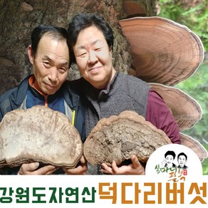 자연산 덕다리 버섯 잔나비 걸상 국산 강원도 1kg