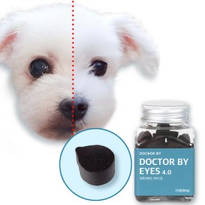 닥터바이 아이즈 강아지 눈 영양제 눈물 자국 냄새 루테인 보조제, 밀크씨슬, 1세트, 눈물 개선/눈건강