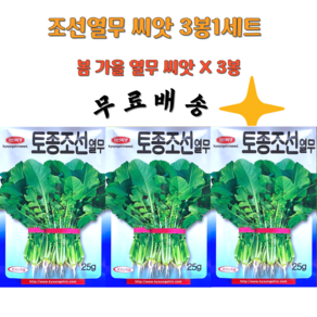 조선열무씨앗 토종 조선열무씨 25g 3봉1세트 봄 가을열무씨