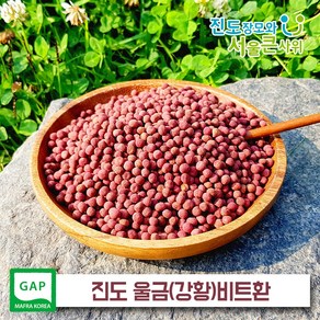 진도 울금(강황)비트환 300g 레드비트를 입혔어요, 1개