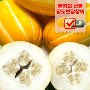 성주 참외 당도특급선별 꿀참외 산지직송, 2kg, 1개