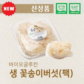 유기농 GAP 인증 국내산 생꽃송이버섯 100g (팩), (10팩): 1개, 10개