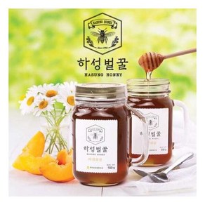 벌꿀야 550g x 2병, 2개