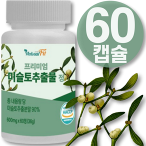 미슬토 추출물 효능 참나무 미슬토 추출물 600 mg 면역 진액 주사 력 높이는 맥스 nk 세포 면역 100% 국산 겨우살이 티백 환 차 효능효과 에 좋은 영양제 식약청 해썹 인증