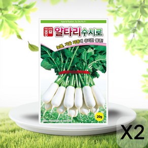 솔림텃밭몰 알타리무씨앗 20g 수시로알타리 사계절 수시로 가능, 2개