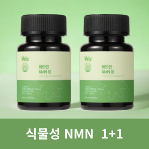 아이플리 베타인 NMN 식물성 엔엠엔, 2개, 60정