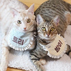 [개달당] 이름자수 체크 강아지 고양이 턱받이 4colos, 옐로우체크