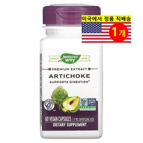 Natue's Way 프리미엄 아티초크 추출 600mg Atichoke Pemium Extact, 1개, 60정