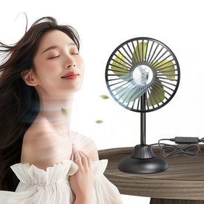BEST 차량용 선풍기 7종 모음, 5. 리예 다용도 탁상용 싱글 USB 선풍기[블랙]