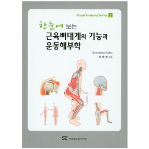 한눈에 보는근육뼈대계의 기능과 운동해부학