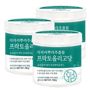 푸른들판 치커리뿌리 추출물 100% 700gx3통 프락토올리고당 분말, 3개, 700g