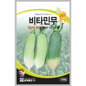 비타민무100립 씨앗 세계, 1개