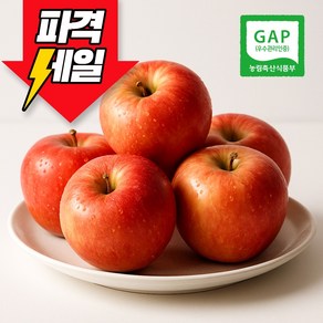 아삭아삭 고당도 경북 사과 햇 부사 가정용, 1박스, 소과 5kg(25~33과)