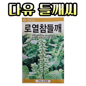 농사친구 로얄참들깨 다유 들깨 씨앗 20g, 1개