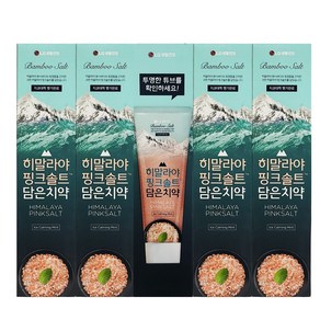 LG생활건강 히말라야 핑크솔트 담은 치약, 160g, 5개