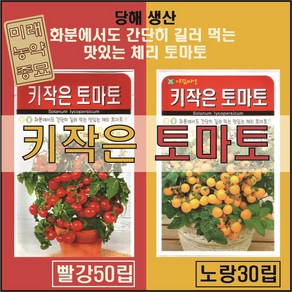 키작은 토마토 씨앗 빨강 50립 / 키작은 토마토 씨앗 노랑 30립 중 택1 -화분 토마토 체리 토마토, 빨강50립, 1개