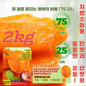 POZEAL 무설탕 유기농 저칼로리 살구 대용량 2kg, [2+2]100g, 1개