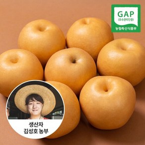 [신선연구소]GAP인증 24년 나주 햇배 가정용 특품 5kg 8-9과, 1개