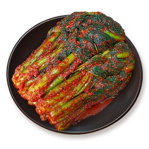 [진담김치] 전라도 여수 돌산 갓김치 I 국산 천연재료 진한 감칠맛의 전라도김치, 3kg, 1개