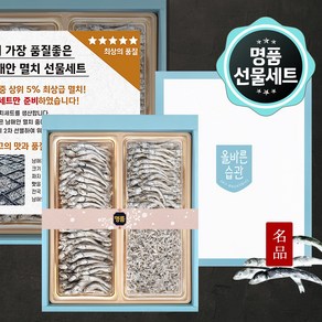 명절선물세트 남해안 명품멸치 선물세트 1호 대멸 300g+세멸150g+중멸100g, 1개