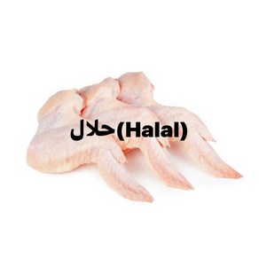 S.N. FOOD FROZEN HALAL CHICKEN WING(브라질 냉동 닭날개) 1KG/1PACK 냉동제품 24시안으로 미개봉상태에서 반품가능