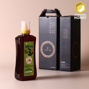 함평청정꿀 [함평청정꿀] 순수 자연산 밤꿀 1kg 선물세트, 1개