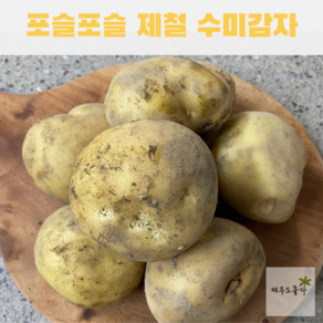 국산 포슬포슬 맛있는 햇 수미감자 햇 감자 중/대/특/왕특 3kg 5kg 10kg, 햇 수미감자 (대) 3kg, 1개