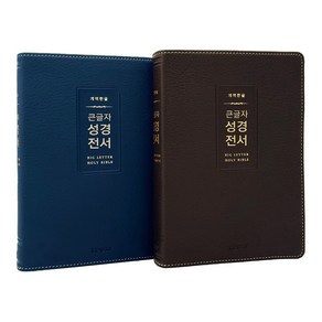 개역한글 큰글자 성경전서 H72WM 중단본 무지퍼 큰글씨 성경책, H72WM 다크브라운