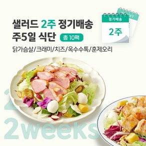 [포켓샐러드] 샐러드 2주 정기배송 주5일 (닭가슴살1+크래미1+치즈1+옥수수1+훈제오리1), 10개