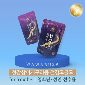 [와와부자] 철갑고골드 청소년/성인 운동선수용 철갑상어 개구리 즙 액기스, 120개, 100ml