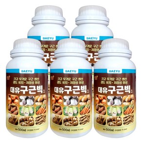 대유 구근빅, 500ml, 5개