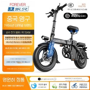 전기 자전거 폴딩 전동자전거 경량 배달 48V 접이식, 프리, GT3-66A배터리(15km)