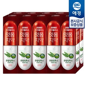 2080 진지발리스 잇몸치약 스트롱민트 유칼립투스향, 150g, 10개