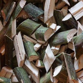 벌나무(산청목) 가지 300g -높은산 벌나무, 1개