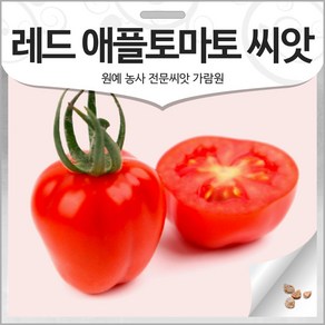 레드 애플 토마토 씨앗 방울 토마토씨 채소 종자 10알, 1개