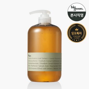 빅그린 탈모 시카샴푸 1000ml/ 건성 및 건조한 두피, 1L, 1개