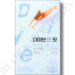 안국건강 다이브인핏 750mg x 28정 4주분, 1개