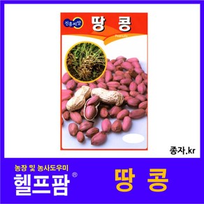 헬프팜 땅콩 30g 종자 씨앗 진흥종묘, 1개