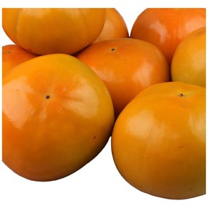 [청년농부] 진영단감 고당도 최상품 5kg 10kg, 5kg중과 (30과 내외), 1개