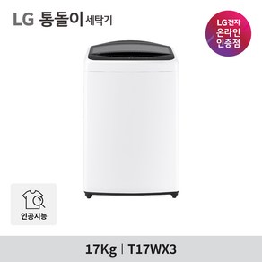 LG 통돌이 17kg DD모터 인공지능 세탁기 T17WX3, 단일속성