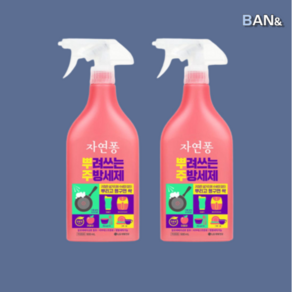 자연퐁 뿌려쓰는 간편 주방세제 애플향 500ml, 2개