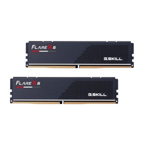 G.Skill Flae X5 시리즈 (AMD Expo) 96GB (2 x 48GB) SDRAM DDR5 5600 CL40 1.25V 듀얼 채널 데스크탑 메모리 매트 블랙 (F5-