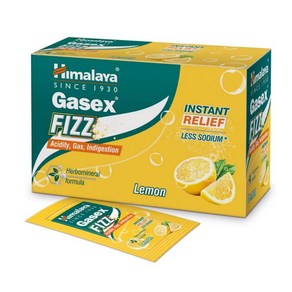 히말라야 가스엑스 GASEX FIZZ 산도를 즉시완화 가스 소화불량을 빠르게 완화(레몬) (25개입), 1개, 25정