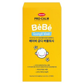 한미약품 프로캄 베베 궁디 버블워시 300ml, 1개