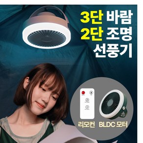 홈앤드고 트래블 캠핑 저소음 무드등 무선 리모컨 선풍기, 딥 그린