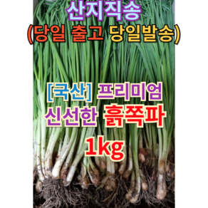 [농장직송] 싱싱한 <<국산 흙쪽파 1키로>> 싱싱한 푸르름을 전하는 빠른배송 쪽파 흙쪽파1단 파 잔파 실파 기장쪽파 파김치재료, 1kg, 1개