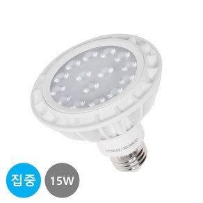 번개표 LED 파30 15W 집중형 주광색(흰색빛), 5개