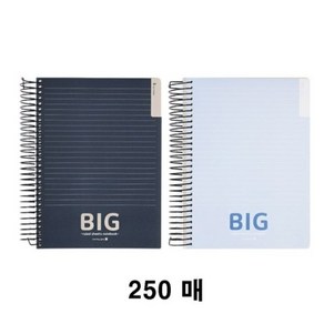 모닝글로리 13000 두꺼운 빅pp스프링 노트 16절 300매, 색상랜덤